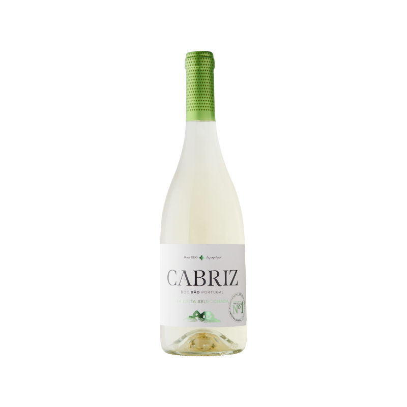 Cabriz Branco