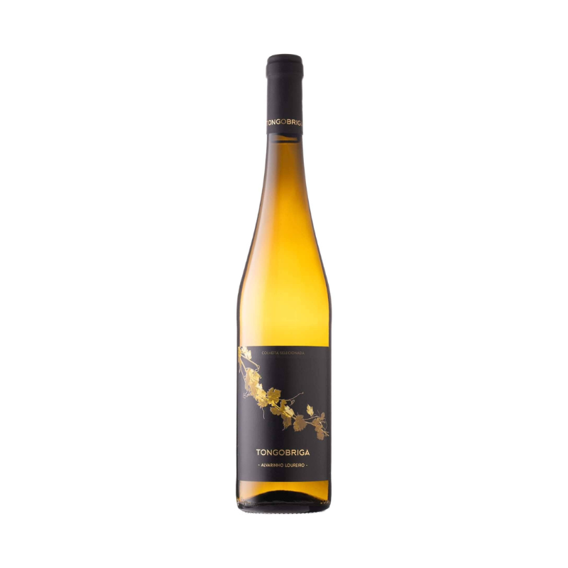 Alvarinho Loureiro